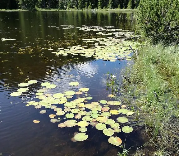 Diamant Lejlighed Nauders