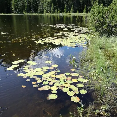 Apart Diamant Lägenhet Nauders